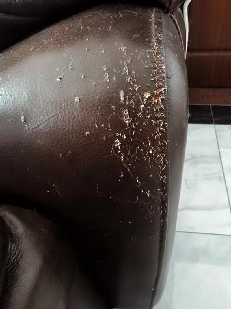 洛阳皮具护理：细节决定时尚
